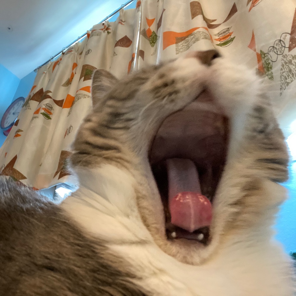 Meet your Posher, Jason